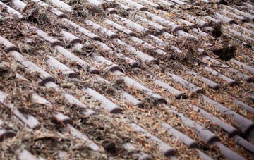 Kitwood roof cleaning companies