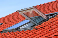 Kitwood roof window